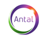 Antal-International-Global-Recruitment-logo