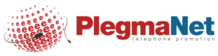 Plegma-Net-logo